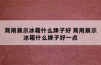 商用展示冰箱什么牌子好 商用展示冰箱什么牌子好一点